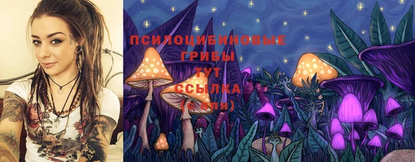 винт Зеленокумск