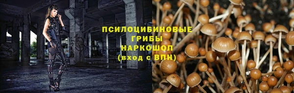 винт Зеленокумск