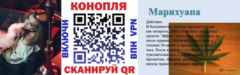 Конопля OG Kush  магазин    Инта 